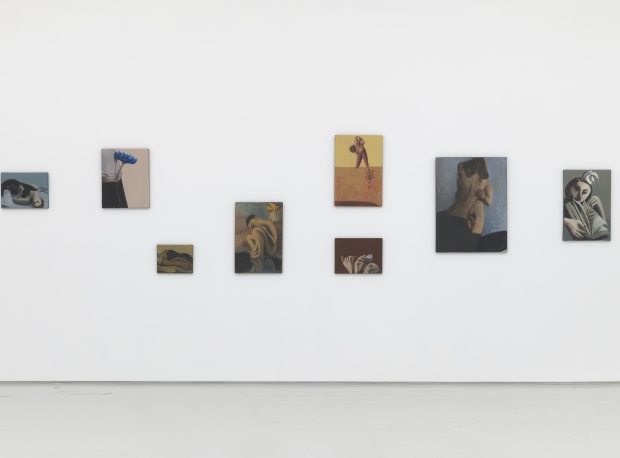 Lenz Geerk, The Table Portraits, Installation view 
