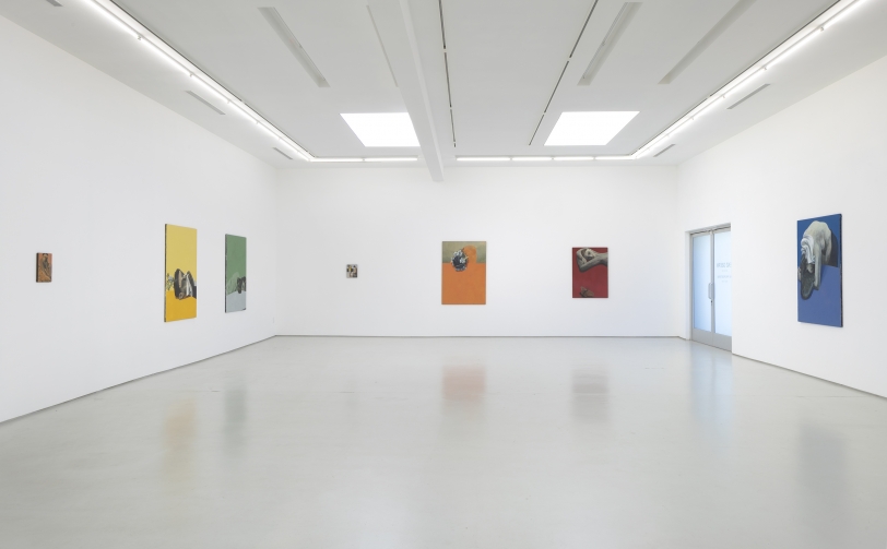 Lenz Geerk, The Table Portraits, Installation view 5